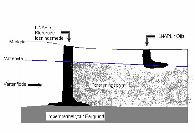 Detta innebär att en liten mängd förorening kan kontaminera stora volymer vatten.