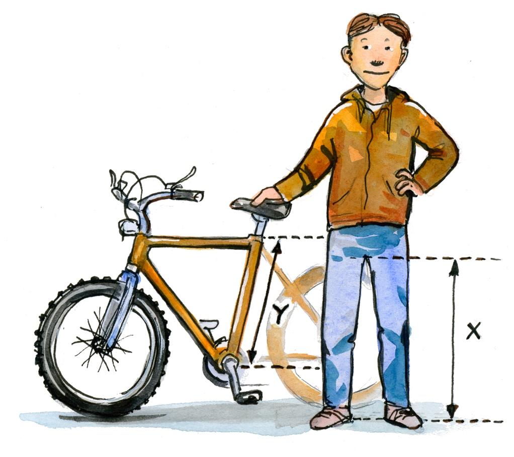 25. Storleken på en cykel bestäms av sadelrörets längd. För att veta vilken storlek på cykel man ska ha, kan man mäta innerbenlängden på den person som ska använda cykeln.