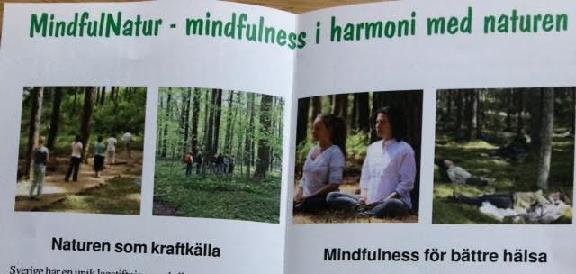 Efter en kort introduktion genomförde vi en Landningsövning för att varva ner inför den fortsatta tysta promenaden fram till meditationsplatsen. Där fick vi sitta tysta i ytterligare 10 minuter.