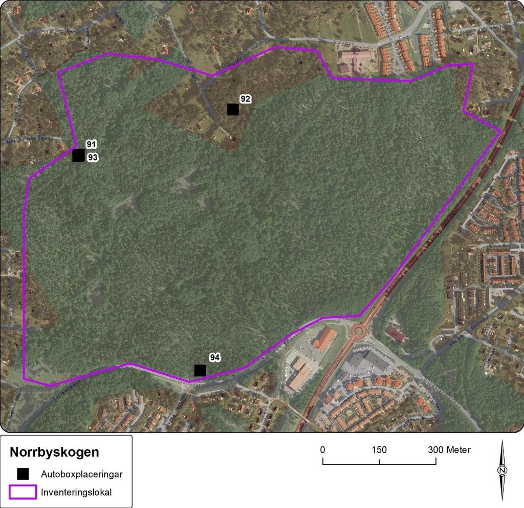 Figur 25. Norrbyskogen inventerades med fyra autoboxar.