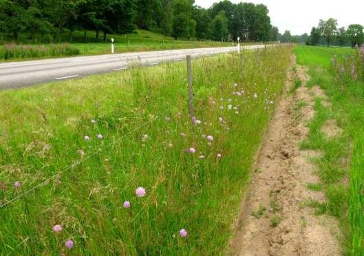 7. Södra Fågelås (195-09, 2855-03, 2856-01, 2857) Området kännetecknas av ett småskaligare jordbruk med hagmarker, mindre lövområden och sandiga marker.