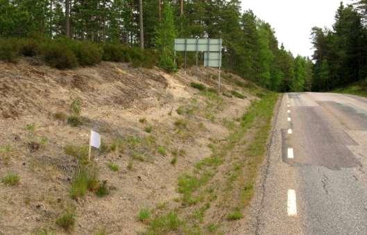 9. Hökensås (2852-10, 11 och 13) Vägen går i väst- östlig riktning över Hökensås moiga jordlager och omges av tallskog.