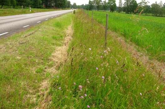 Klass 1 och 2-sträckor (och helst även klass 3) bör få en särskilt anpassad skötsel. Detta kan gälla tidpunkt för slåtter så att de blommor som är värdefulla ska hinna blomma.