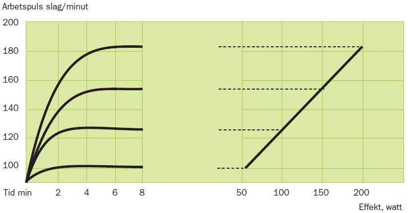 Samband mellan puls och effekt Vid arbete på en konstant effekt ökar pulsen efterhand, för att så småningom stabiliseras (linjen planar ut).