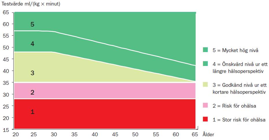 Gradering av testvärde utifrån ett hälsoperspektiv Enligt LIV 2000 minskar testvärdet med stigande ålder med i genomsnitt cirka 0,4 ml O2/(kg x min) per år.