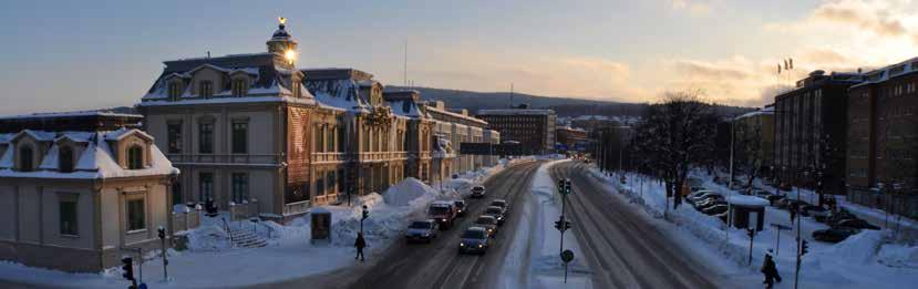 Riskförhållanden - betalningsberedskap Mål Den kortfristiga betalningsberedskapen ska motsvara minst 100 % av de skulder som förfaller inom ett år.