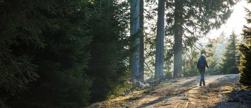 Kommunstyrelsens infrastrukturinvesteringar I kommunstyrelsens investeringsbudget finns anslag till ett antal infrastrukturprojekt.