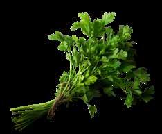 (1495) Crème fraiche (4134) Broccoli, tärnad Paprikamix, strimlad Mango