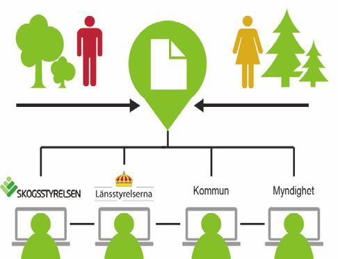 Slutrapport Gemensam inlämningsfunktion för skogsägare Regeringsuppdrag Skogsärenden för företag Digital tjänst för