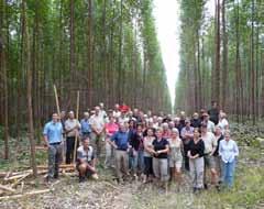 Vi besöker skogsägare med bland annat svenska rötter, lär om skogsbruk, jordbruk, den markreform som pågår i landet, besöker skogsindustri och skogsplantage av både eukalyptus och tallarter.
