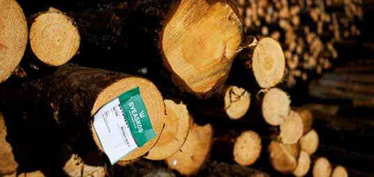 Via oss på Sveaskog kan du certifiera din skog, enligt FSC, och därigenom få ett mer ansvarsfullt och lönsamt skogsbruk.