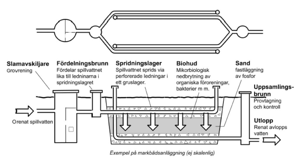 Markbädd Om marken är tät går det inte att göra en infiltration. Då kan man göra en markbädd i vilken man renar avloppsvattnet och sedan leder bort det renade vattnet.