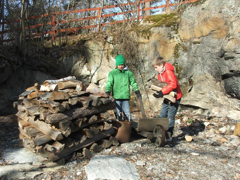 LÄRARHANDLEDNING 2016 Järnet och