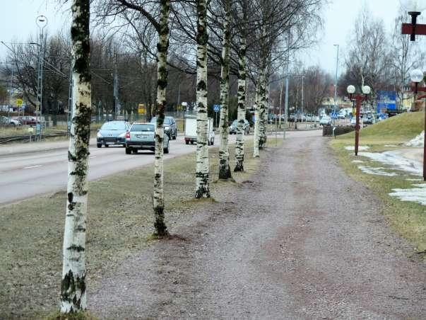 Bild 20. Björkalléer finns intill Vasagatan på några platser.