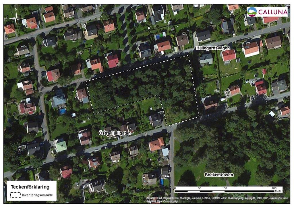 1 Bakgrund 1.1 Uppdrag och Syfte Partille kommun håller på att ta fram en ny detaljplan för bostäder vid Hallegårdsvägen.
