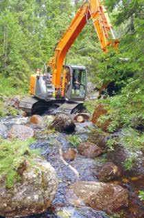 Flottningen var länge det mest effektiva sättet att transportera timmer på. I Norrland har en stor del av vattendragen använts för timmerflottning från skogen till sågverken.