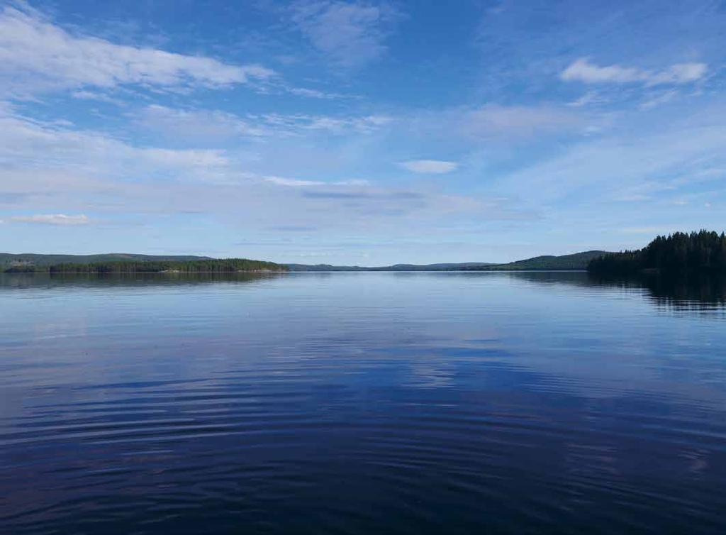 Projektet en del av EUs naturförvaltning Triple Lakes och det vi gör inom projektet är möjligt genom att dessa sjöar är klassade som Natura 2000-områden.