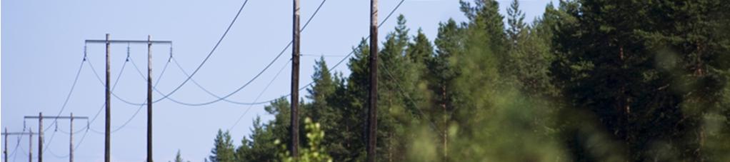 Markkabel En markförlagd ledning med 170 kv spänning förläggs med tre kablar i ett kabelförband i ett grävt schakt. Schaktet har ett djup av ca 1 meter och en bredd av ca 2-4 m.