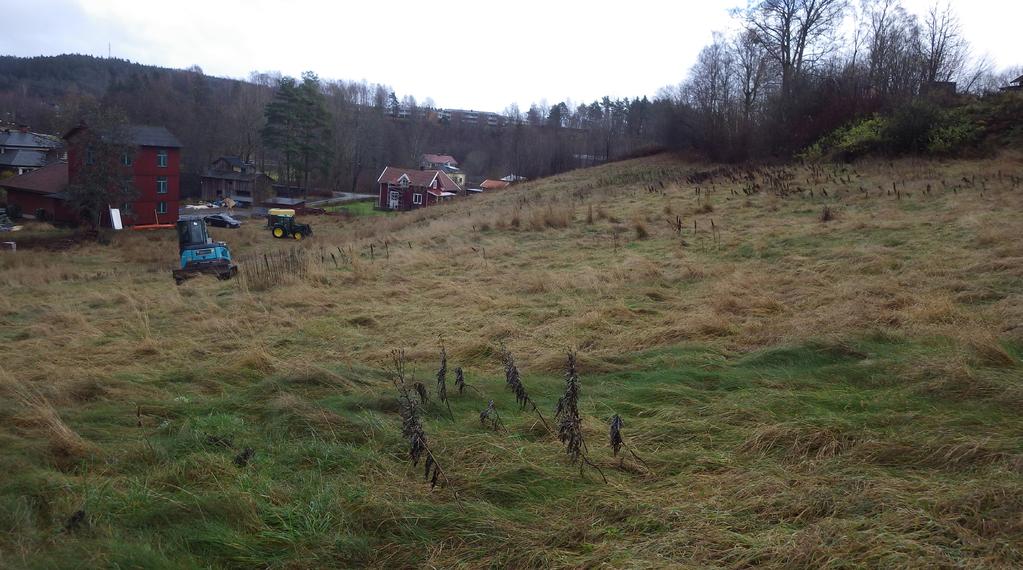 Arkeologisk utredning vid Prästgården i Bollebygd Figur 6. Foto över utredningsområdet mot öst visar den branta sluttningen ner mot Nolån. Foto Mats Hellgren.