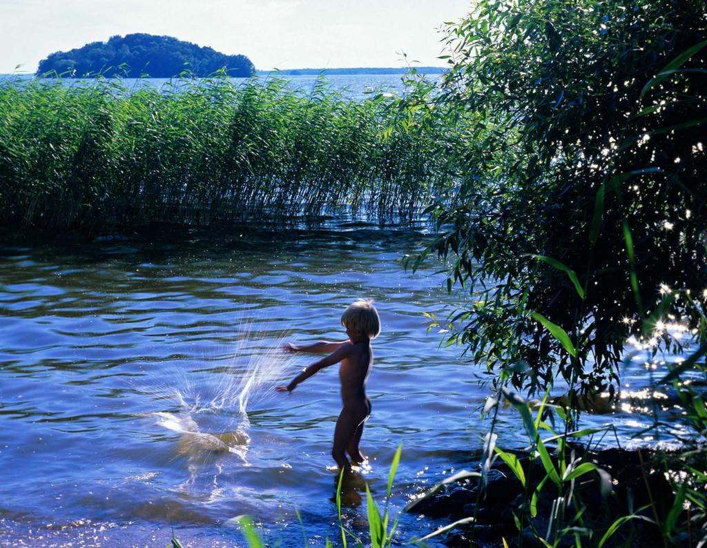 Mälarens vattenvårdsförbund Förbundet har funnits sedan 1998. Medlemmar är alla Mälarkommunerna, länen och landstingen runt Mälaren, samt ett antal företag och ideella föreningar.