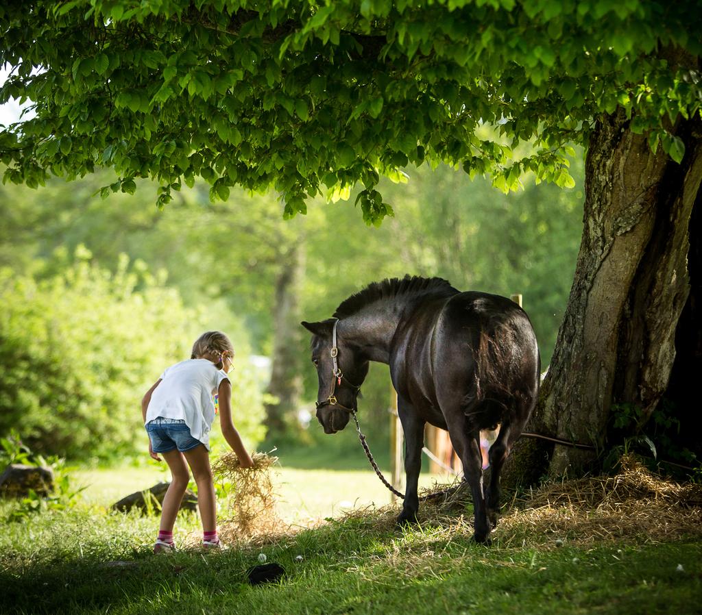 Foto: InPhokus by Funke #mitthässleholm Tillsammans skapar vi en gemensam bild av vår