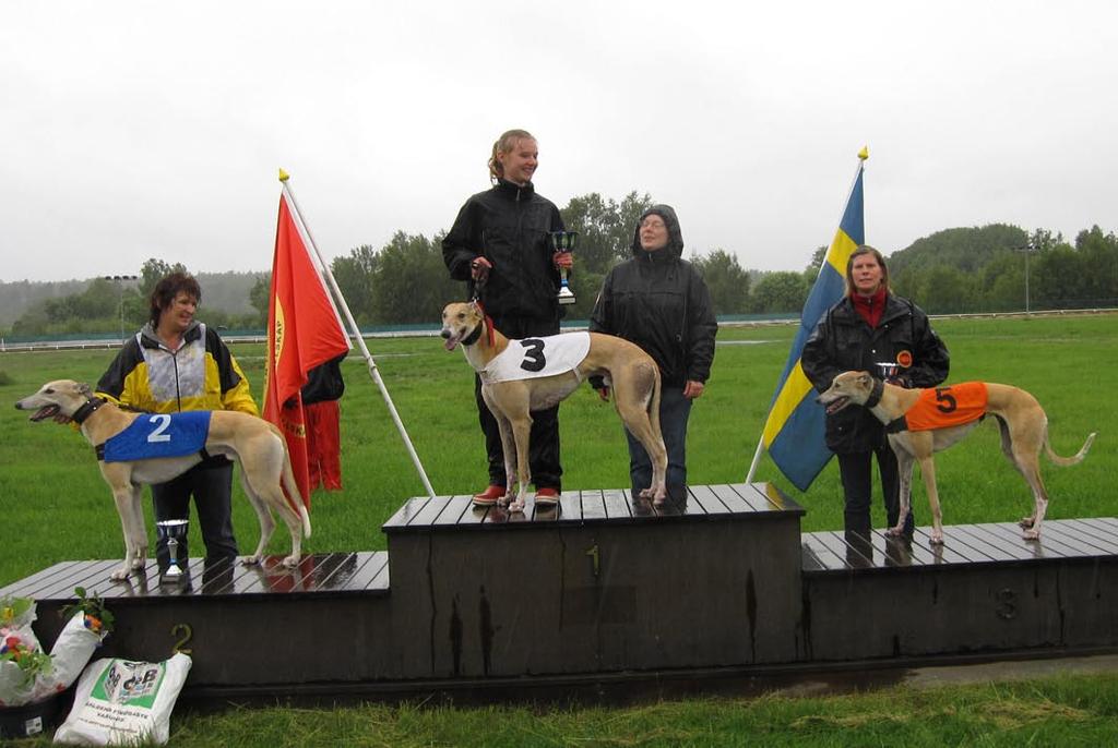 76, Åsa Wicander, SHS. I högsta klass på medeldistans hade vi semifinaler i det nya storloppet Nualas Star Challenge.