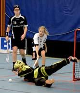 Säsongen -94/95 sparkade klubben igång även ett damlag som då spelade i Div 3. Där spelade vi till -97/98 då vi gick upp i Div 2, för att säsongen efter lägga ned vårt damlag.