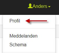 2015-02-06 epayslip - användarmanual Medarbetare på Nobina/Swebus har möjlighet att få sin lönespecifikation elektroniskt.