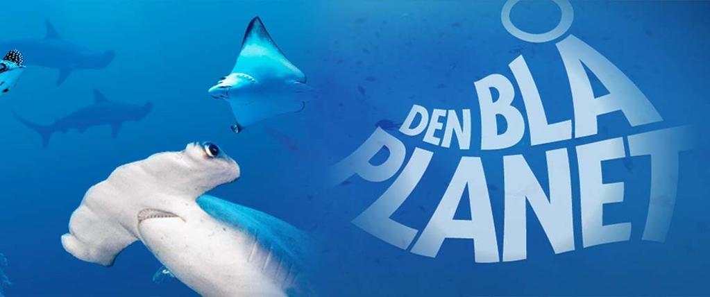Aktiviteter Hösten 2018 TA SEMESTER! Vi reser till Den Blå Planeten i Köpenhamn. Ett av Nordeuropas största akvarium. Den blå planeten bjuder på många unika upplevelser i havens djup.