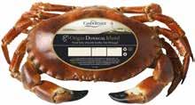 Latin: Nephrops norvegicus.