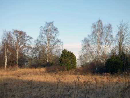 Delområdena A1, A3 och A4 har ungefär samma flora, men med lite olika sammansättning antalsmässigt. Korskovallen i söder är redan nämnd.