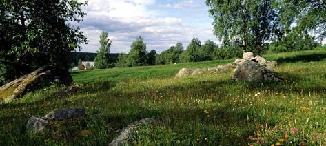Figur 14: Miljöersättning kan betas ut för skötsel av betesmarker med höga natur- och kulturmiljövärden.