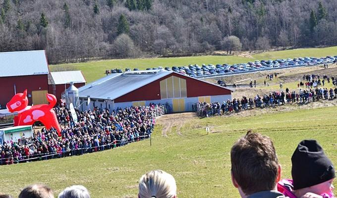 övriga kringkostnader. Utslaget per skulle detta innebära att ett genomsnittligt kosläpp kostar ca. 36 000 kronor. De två kosläppen i Jönköpings kommun skulle då kunna värderas till drygt 72 000 kr.