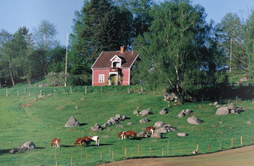 till underhåll och inte nyanläggning. Under år 2015 gjordes vissa anläggningsarbeten längs smålandsleden.