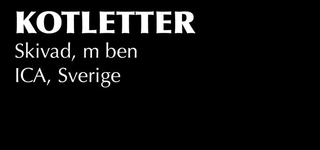 KOTLETTER Skivad, m