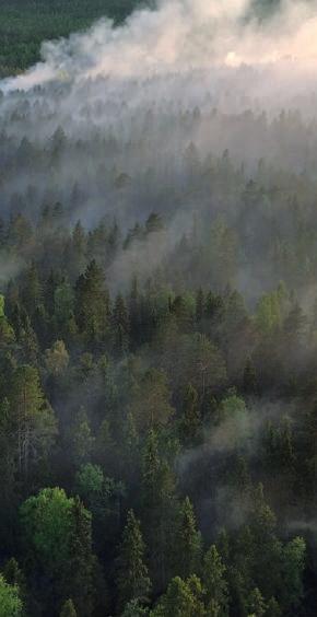 Norrskog informerar - om hur man sköter skogen med hänsyn till brand. LRF s omsorgsgrupper - vad gör vi och hur kommer man i kontakt? Länsförsäkringar Jämtland - om skogsförsäkringar.