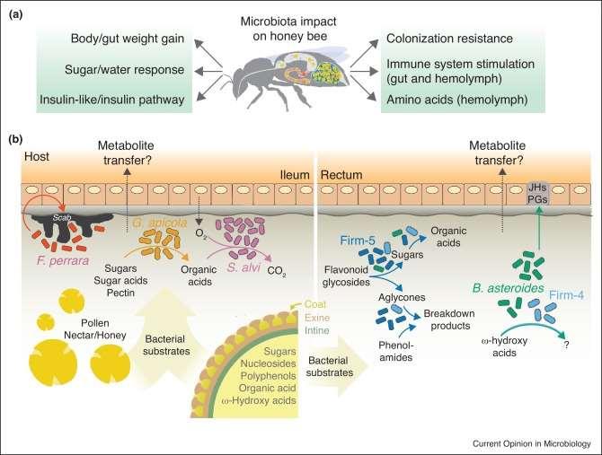 https://www.sciencedirect.