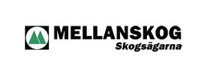 MELLANSKOG Skördare Eco Log 56E, Log Max 5 Skotare Valmet 86 P www.mellanskog.se,22 HA G27 221 Antal stammar per hektar. 1771 714 157 Beståndets medeldiameter i brösthöjd. 15 16 Beståndets övre höjd.