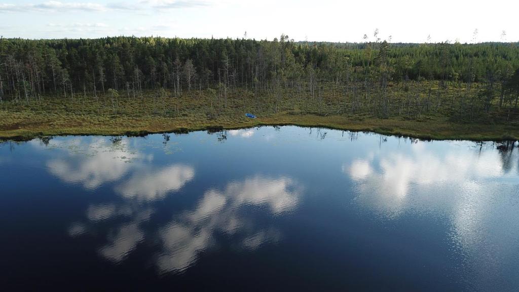 Om Skog & Lantbruk Skog & Lantbruk är ett rådgivningsföretag som arbetar med följande tjänster: - Fastighetsförmedling - Generationsskifte - Marknads-/avkastnings-/intrångsvärderingar -