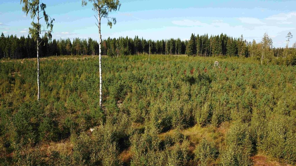 Lån och Inteckningar Objektet överlåts obelånad. Del av fastigheten Skruvgården överlåts fri från inteckningar. Fastigheterna Svalpö 1:4 och 1:5 är samintecknade till ett belopp om 800 000 kr.