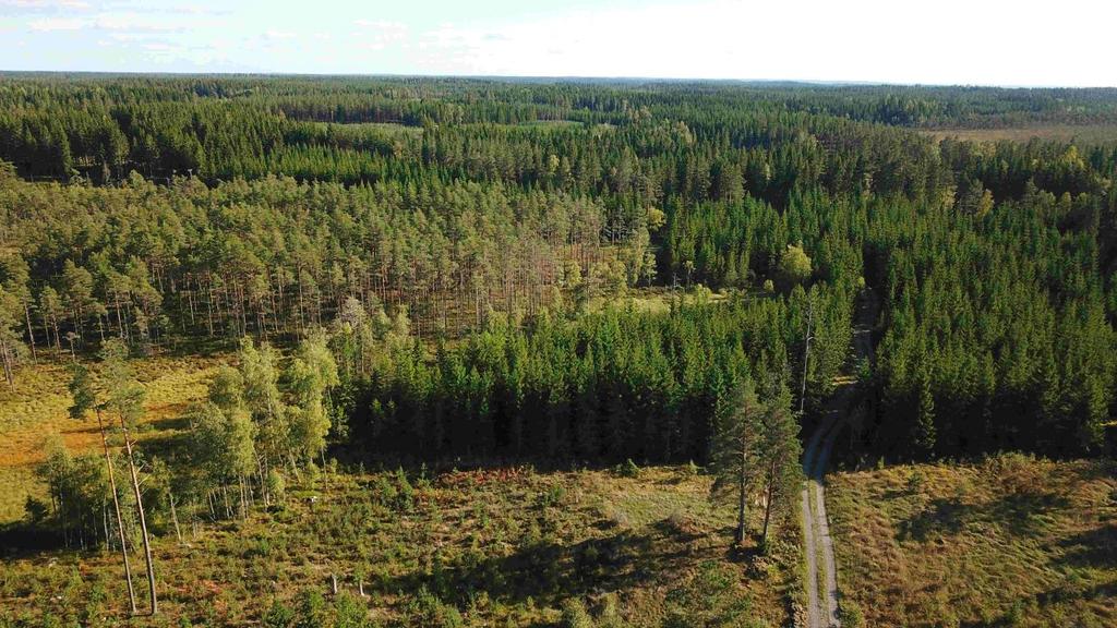 Visning Enskild besiktning. Intresserade har möjlighet att på egen hand besöka Fastigheten. Respektera pågående markanvändning, vägar, jakt mm. Välkommen!