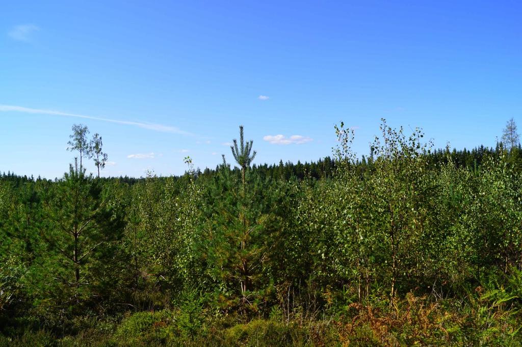 Förvärvstillstånd Förvärvstillstånd krävs ej för person som varit bosatt minst ett år inom Uppvidinge kommun. För annan person eller juridisk person (t.ex. aktiebolag) krävs förvärvstillstånd.