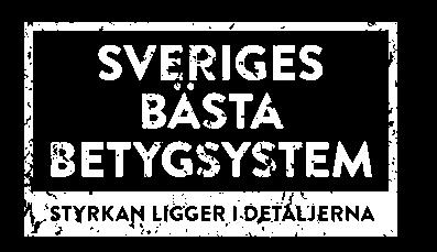 Om du ändå vill handla en XC60 kan det vara klokt att titta efter några problem som drabbat SPAplattformen bilen bygger på.