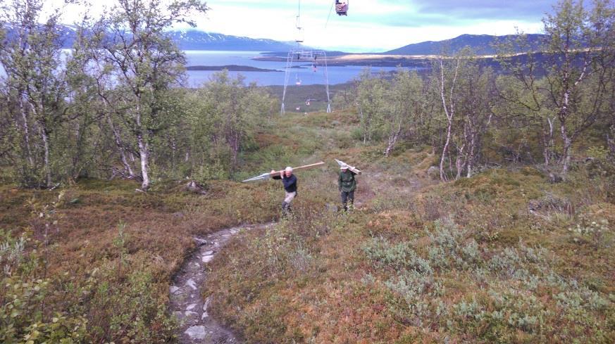 Till höger en av den nya generationens stolpar.