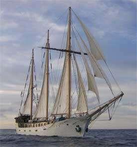 Skeppsorder för Besättningen Rydbergsgastarna. Nr 1/2011 11 IN MEMORIAM HMS Falkens Rydbergselever 1954 har mist två kamrater under ett år.