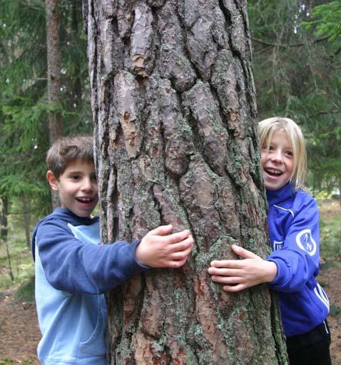 Miljöprogram Fokusområden: Klimatpåverkan Natur-