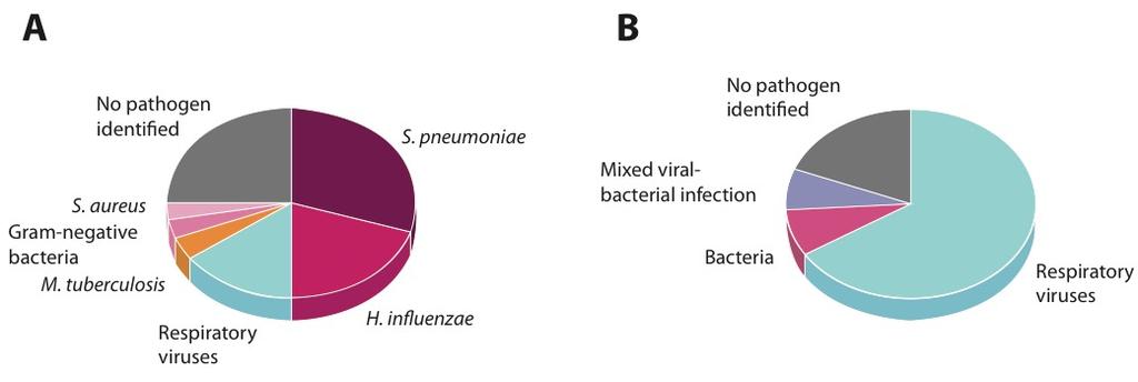 INTRODUKTION - Etiologi vid pneumoni hos barn Samhällsförvärvad pneumoni näst vanligaste dödsorsaken hos barn [1].