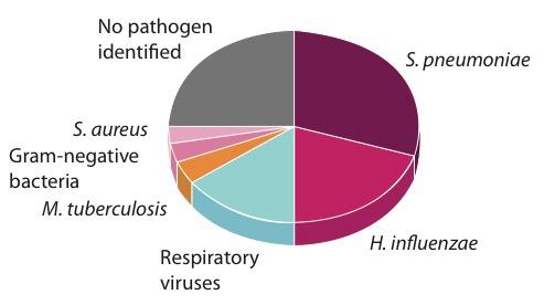 blododlingar positiva (S. pneumoniae 38) à 8% (2/26) M.