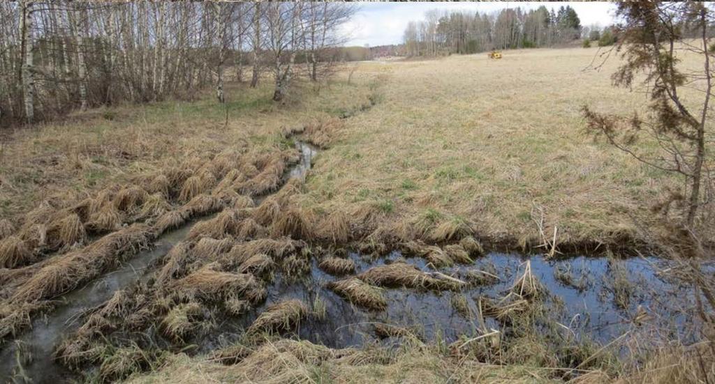 dike kommer att ske. Detaljplaneområdet markeras av grön gräns.