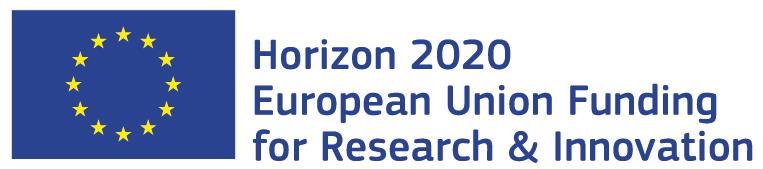 Europeiska forskningsrådet (EFR) Modell för bidragsavtal med en bidragsmottagare EFR-BIDRAG MED LÅGA BELOPP (H2020 Modell för bidragsavtal inom EFR avseende låga belopp En bidragsmottagare)